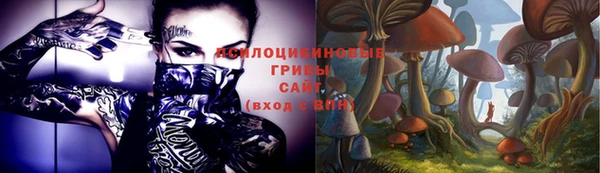 мдпв Вязьма
