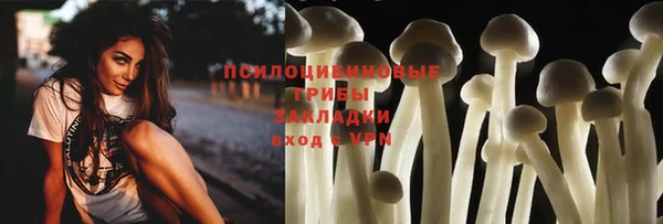 крисы Вяземский
