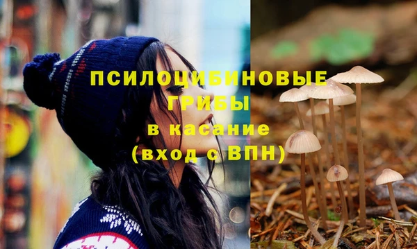 спиды Вязники