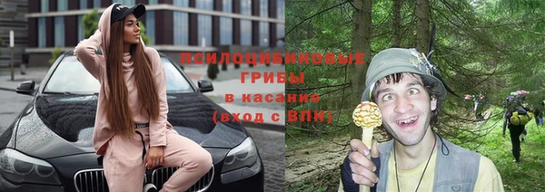 мдпв Вязьма