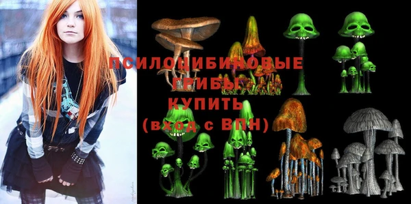 крисы Вяземский