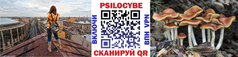 Галлюциногенные грибы GOLDEN TEACHER  Купить где  Красноперекопск 